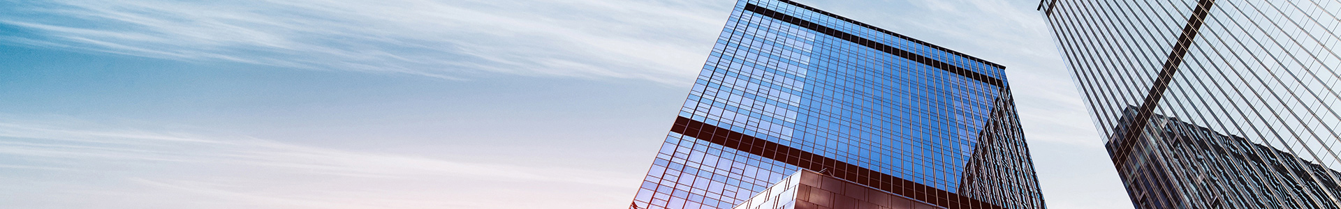 nybanner